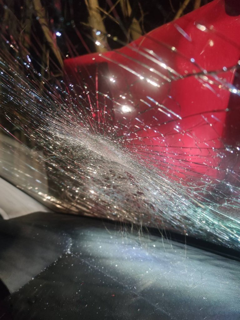 Lesodródott az útról és fának csapódott