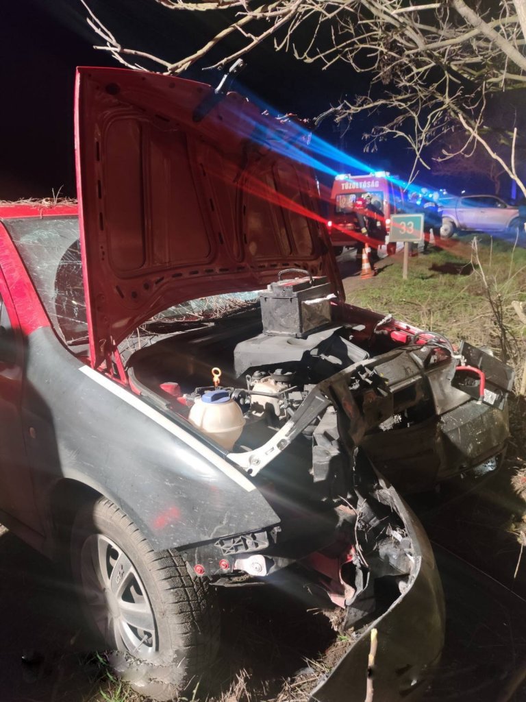 Lesodródott az útról és fának csapódott